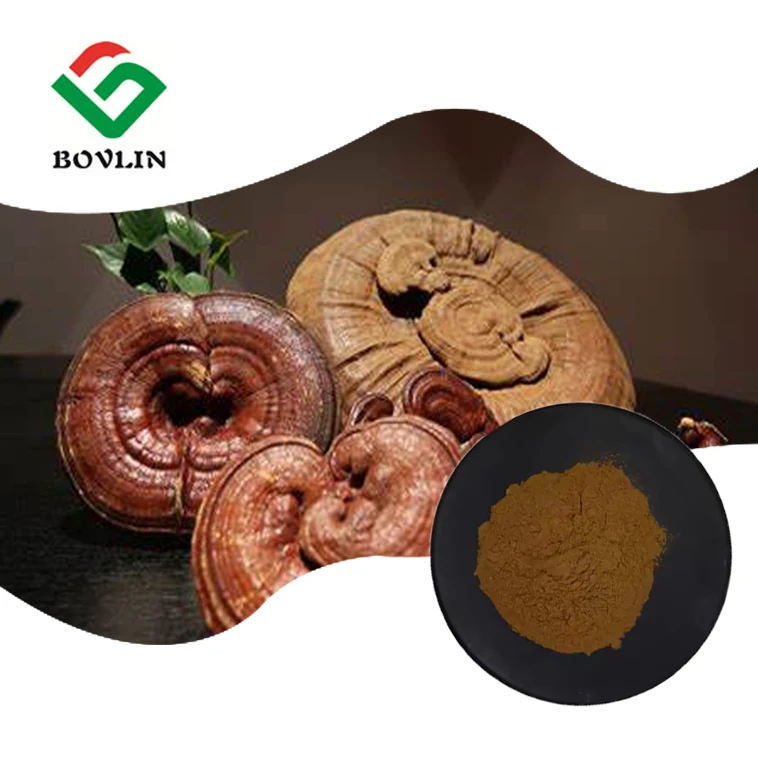 Экстракт грибов Lingzhi Reishi порошок полисахарида Ganoderma Lucidum