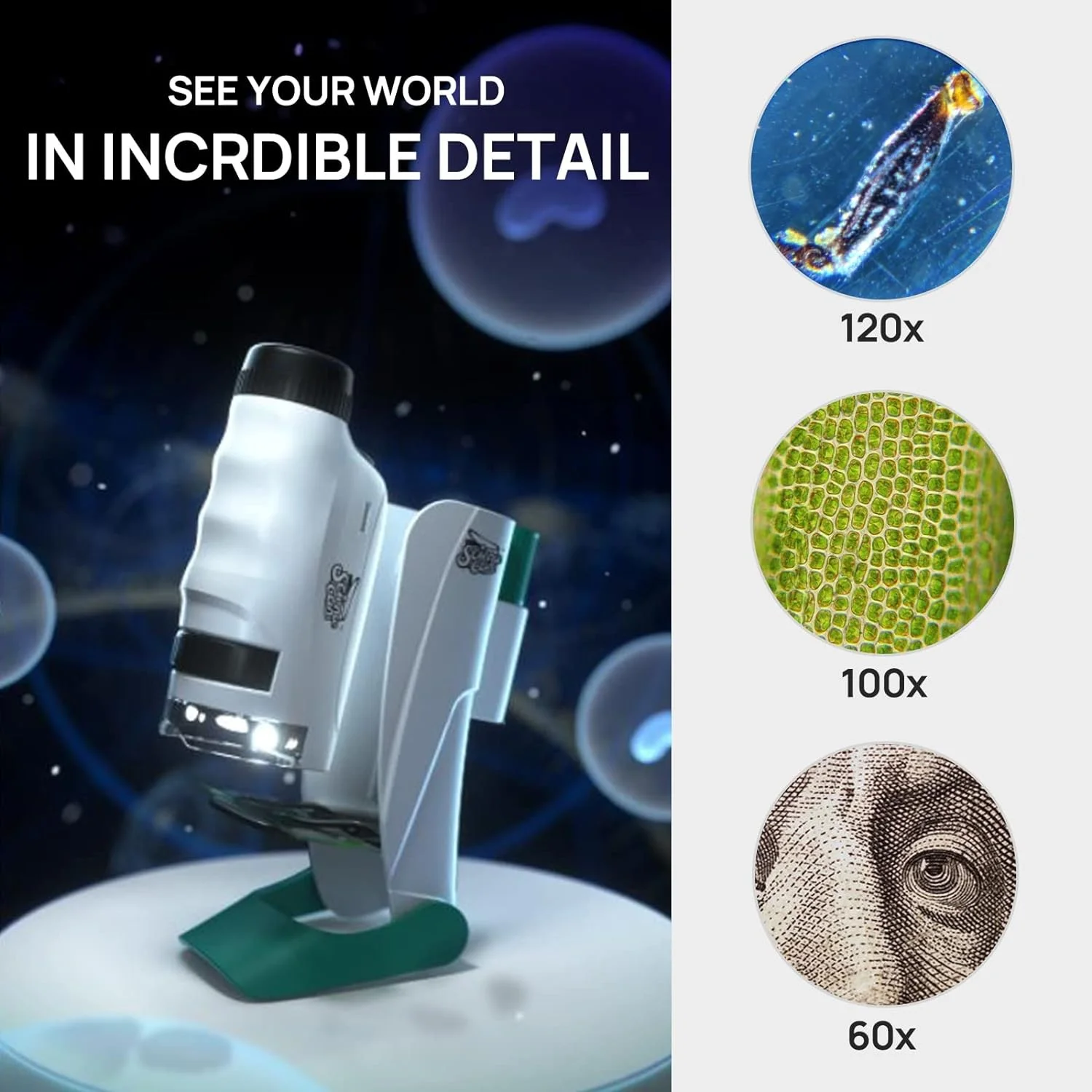 High Quality Darwin Portable Scientific Microscope for Kids