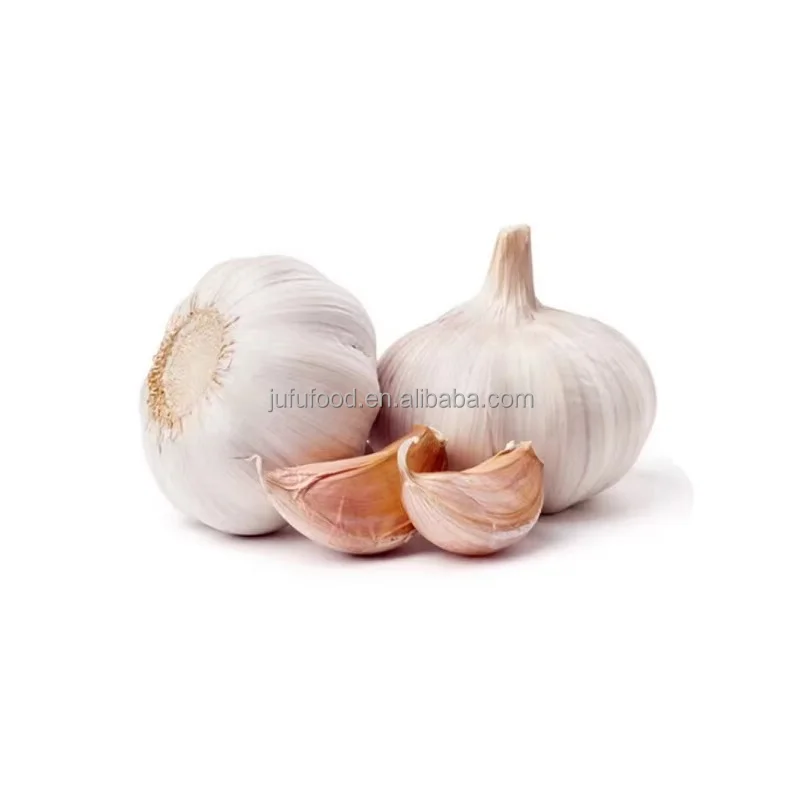 normal white garlic factory price for the international market