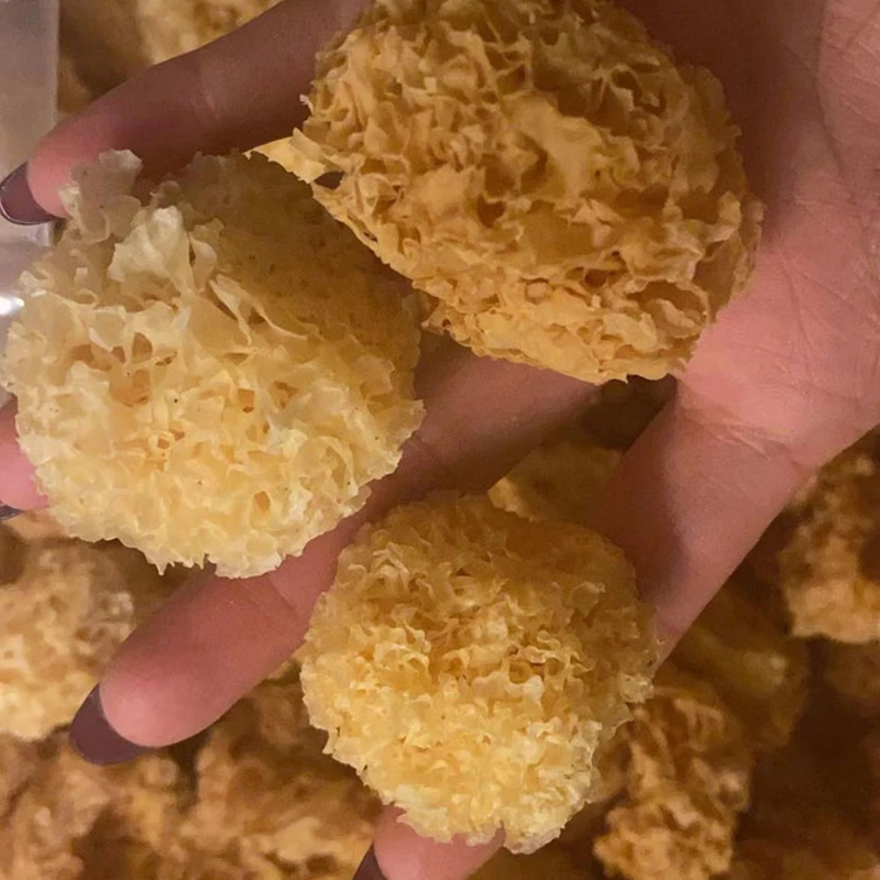 China High Quality Mushroom White Freeze Dried White Fungus For Sale