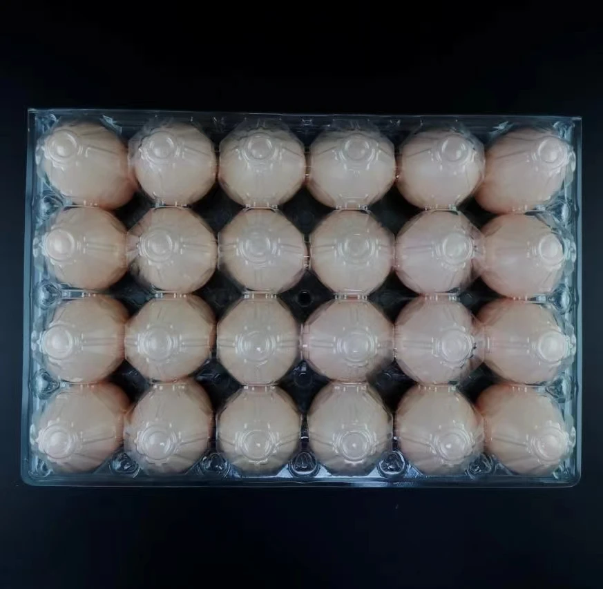 custom plastic 24 holes blister chicken egg tray packaging wholesale eggs packaging boxes for sale