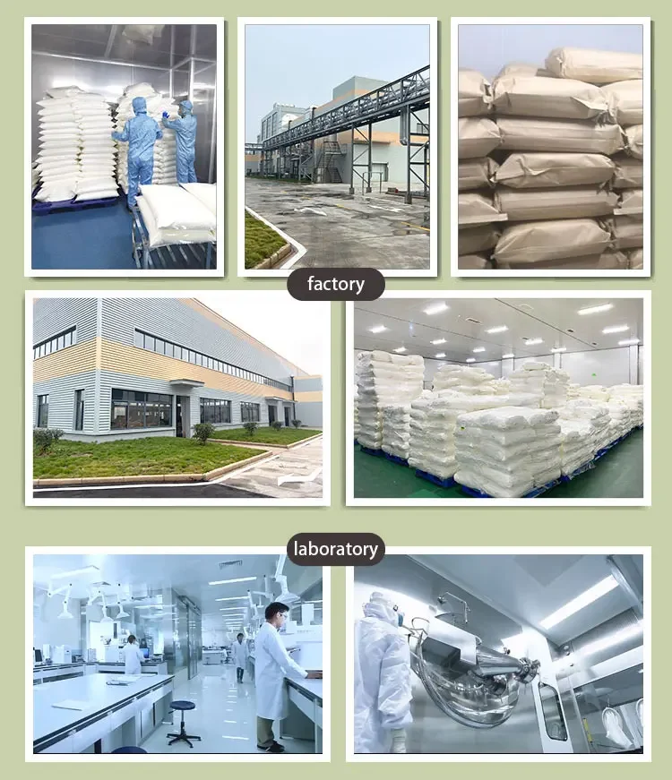 Pure Natural Organic Japanese Matcha Powder 1kg Matcha Green Tea Powder High Quality Ceremonial Matcha Powder