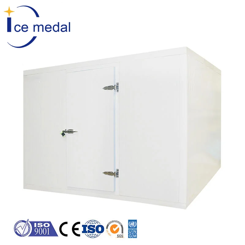 Industrial Cold Rooms And Blast Freezer Container For Sale