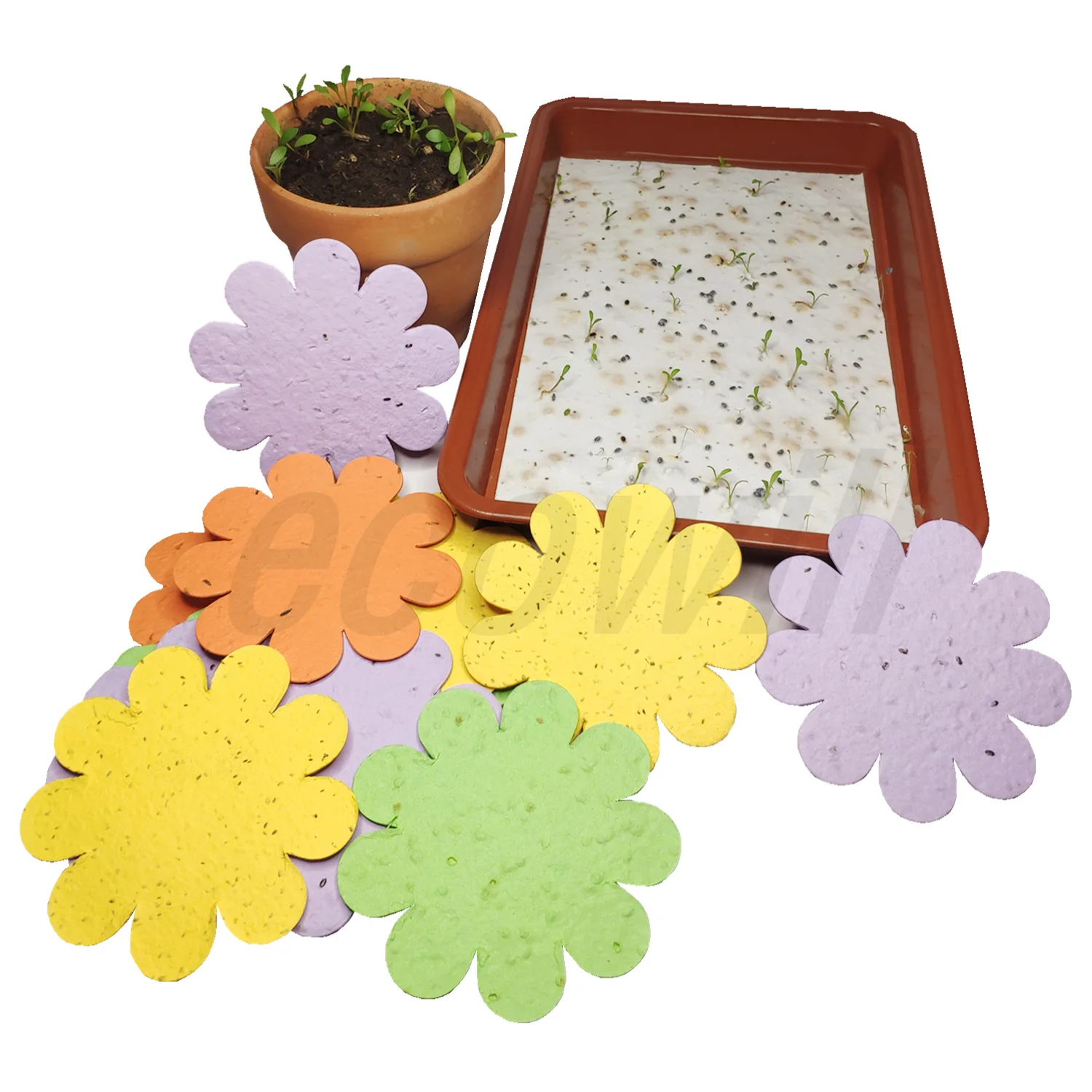 Травяные семена бумаги в форме цветка конфетти с растительными травами Семена овощей