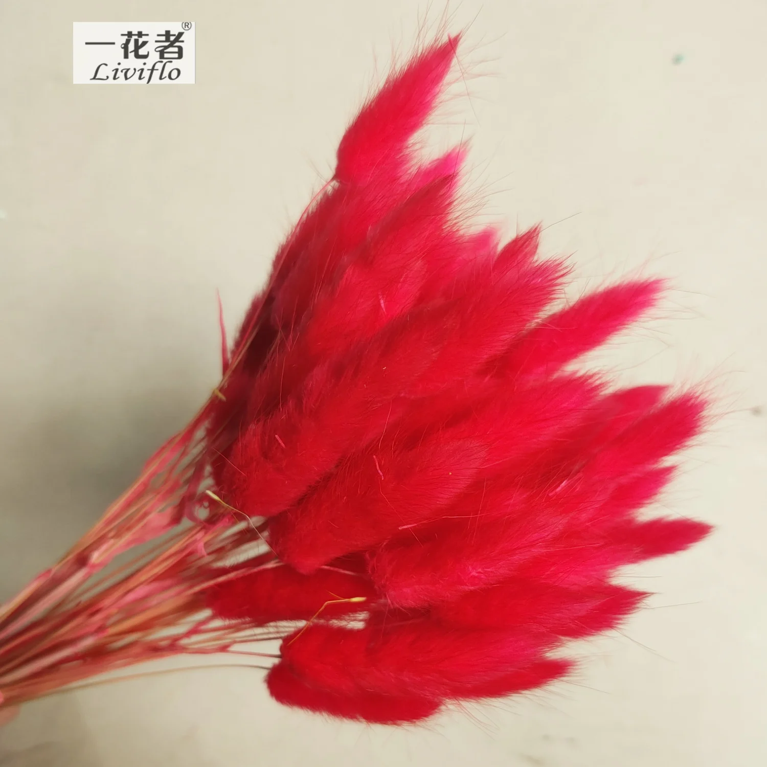 Material Dried Flowers Rabbit Tail Grass Bouquets Opp Bag Christmas Decorative Flowers & Wreaths Long Lasting 50 Sticks / Bunch