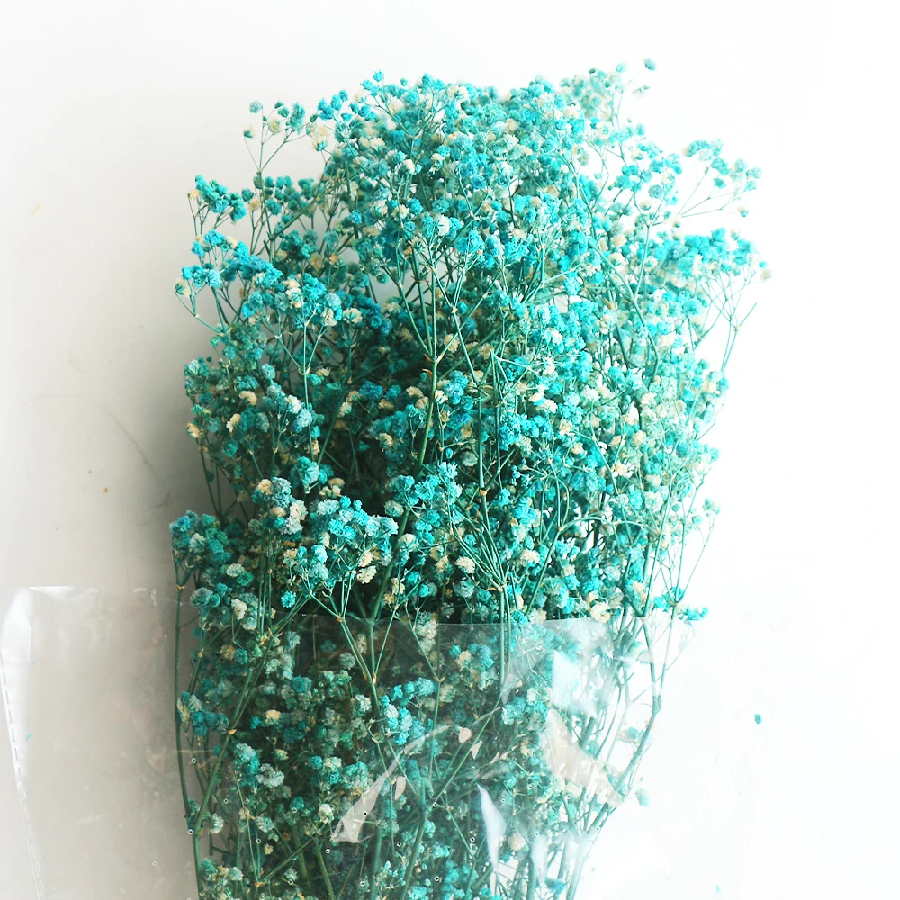 tiny dry flower fo resin art high quality pressed dried flowers sheet Yunnan real 100 natural dried male papaya flower