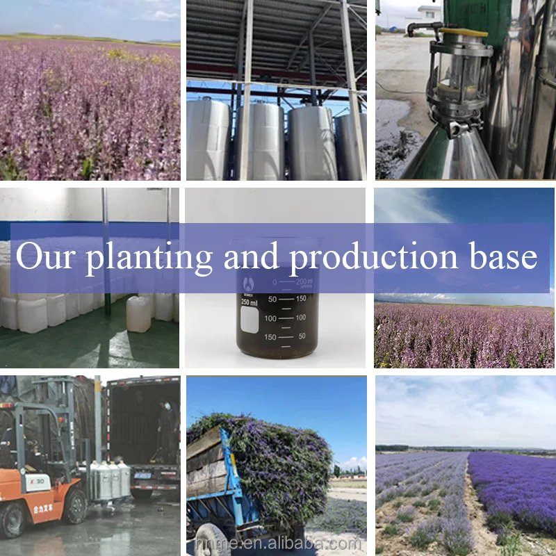 Citronellal hydrate 100% natural plant spice essential oil Top quality Raw material 1L multi-purpose CAS NO. 107-75-5