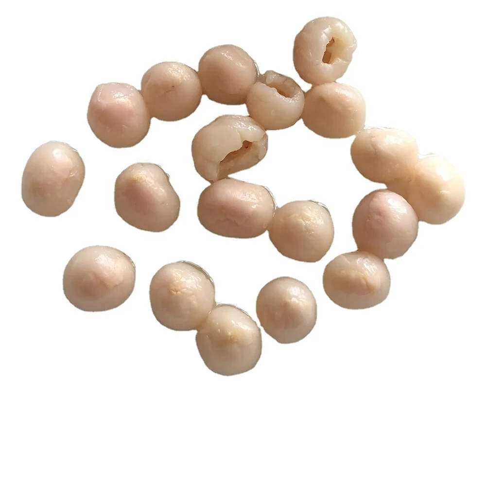 
567 г китайские консервированные фрукты, консервированные личи (личи/личи) в легком сиропе 