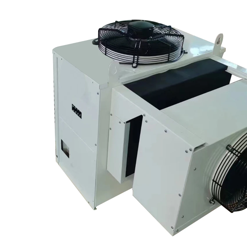 Компрессор для хранения мяса 1HP DC встроенная система