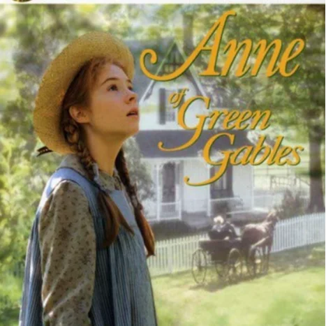 Anne of Green Gables: 20-е юбилейное Коллекционное издание 5DVD discs movies dvd tv series Ama-zon/e-Bay Бестселлер Бесплатная доставка