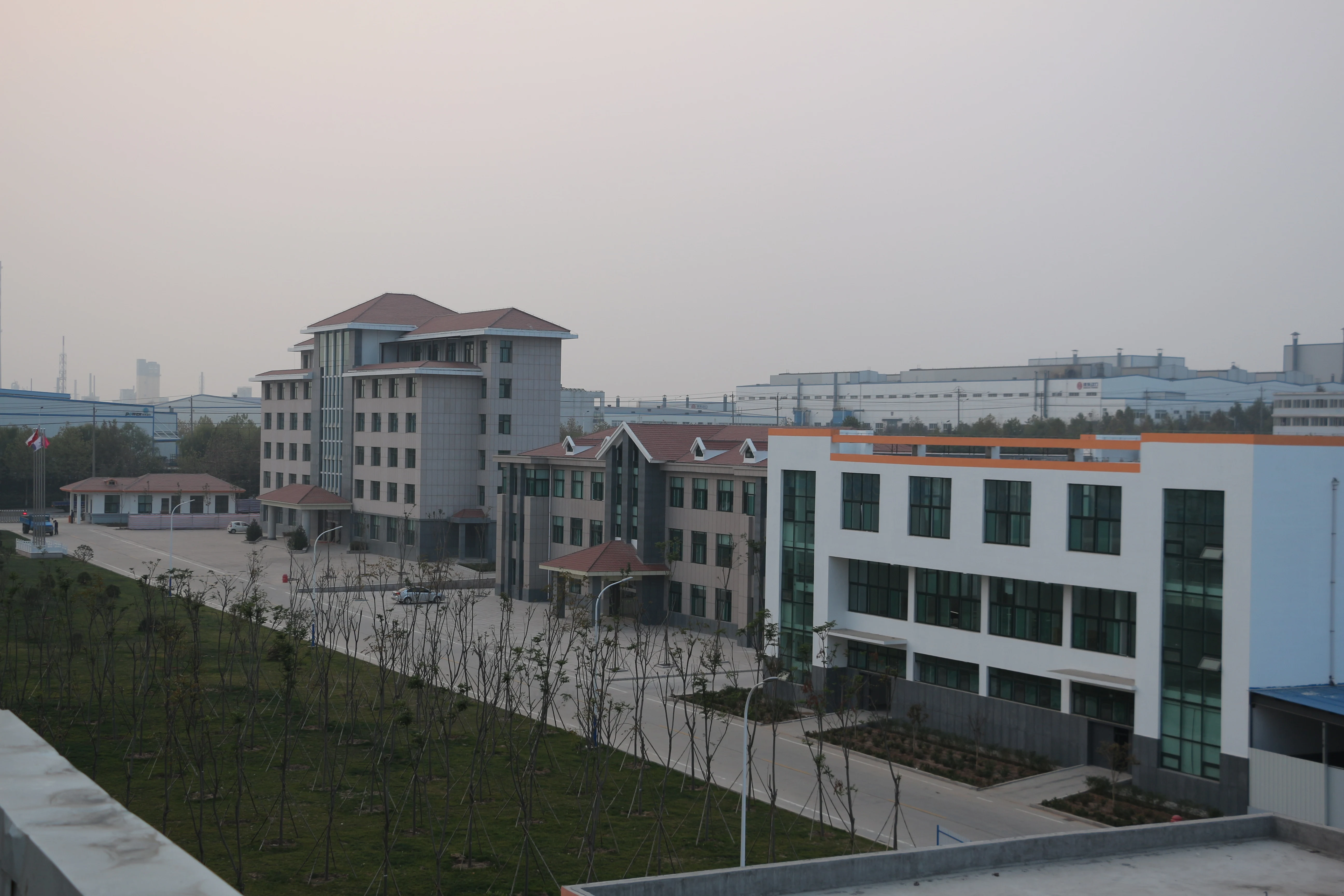 Пищевые добавки Органическая пшеничная глютеновая мука по низкой цене