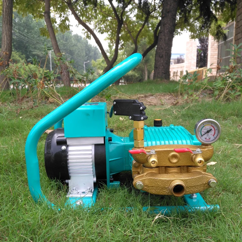 Electric Sprayer 48V 60V 500W BLDC Motor Agricultural Plunger Pump Sprayer