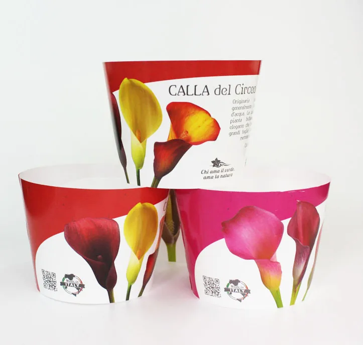 China factory wholesale new desgin PP decorative flower pot covers