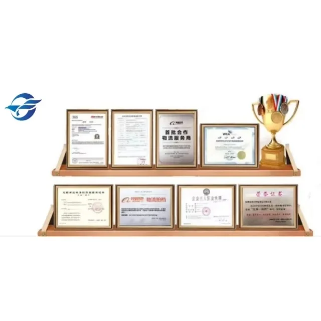 20 Years of Experience Logistics Air Shipping DDU DDP Fordarding Services from China to France Germany Spain