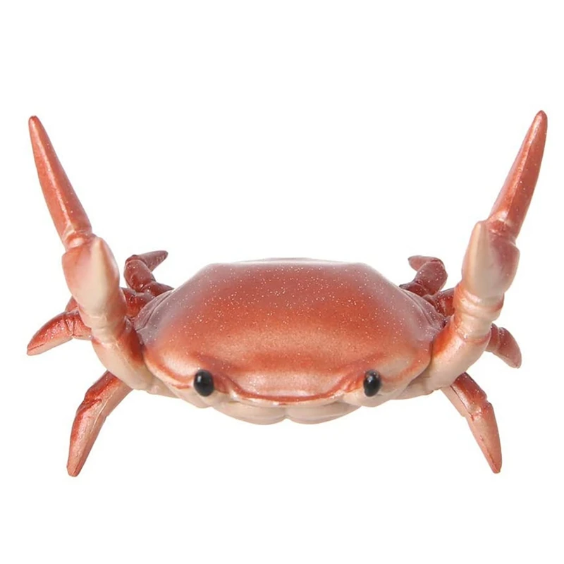 Crab Pen Holder Desk Pen Holder Pen Holders