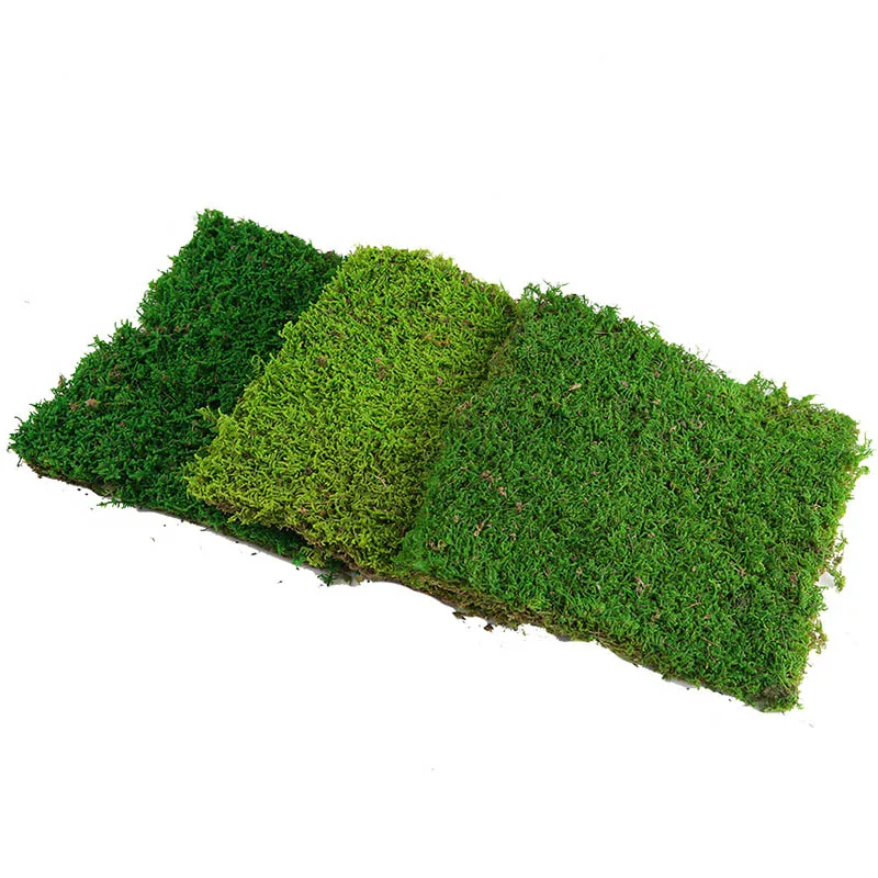 Wholesale Stabilize Reindeer Moss Wall Art Moss Panel Decorations Preserved Moss