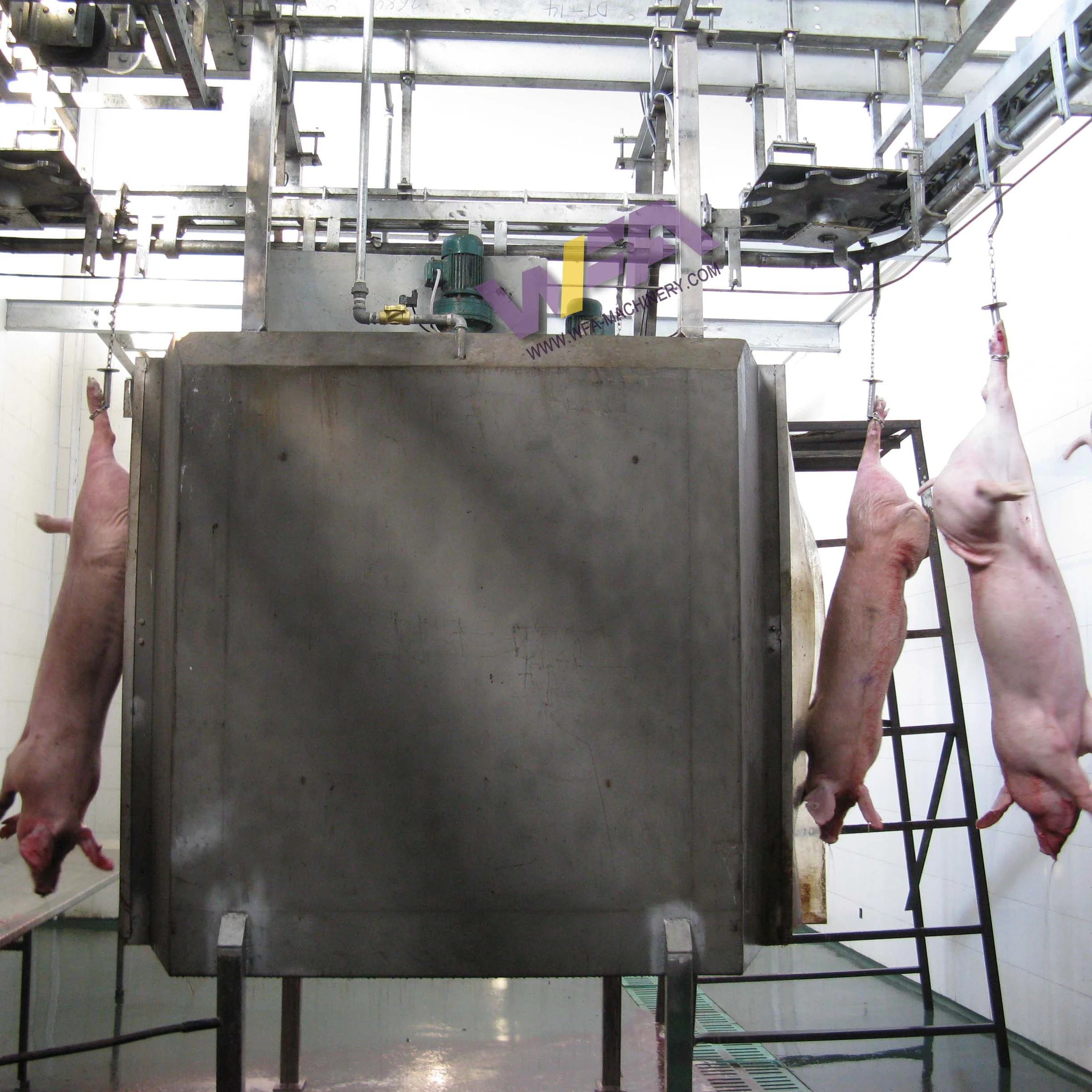 Turnkey Project 800 Heads Pig Abattoir Equipment Slaughtering Machine Sow Processing Line For Pork Slaughterhouse