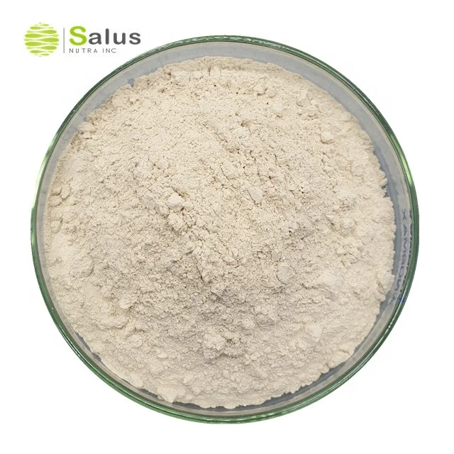 Factory Wholesale Hydroxycitric Acid 65% Garcinia Cambogia Extract Powder