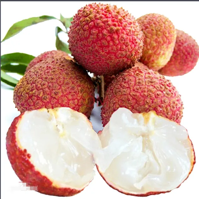 Very popular of fresh Hainan seedless litchi and seedless lychee