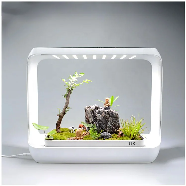 Smart Box Plant Vegetable Planter Pot Garden Home Hydroponic System for Children Education