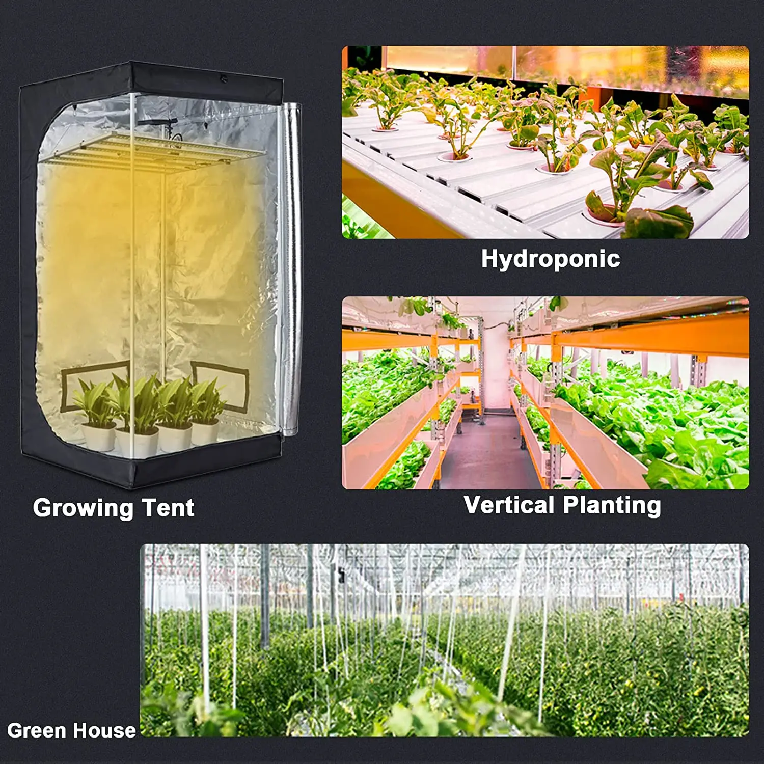 CrxSunny FC6500 6 Bars Plant Grow Light Cultivation 650W Hydroponic Samsung LM301H Full Spectrum 600W 640W LED Grow Light