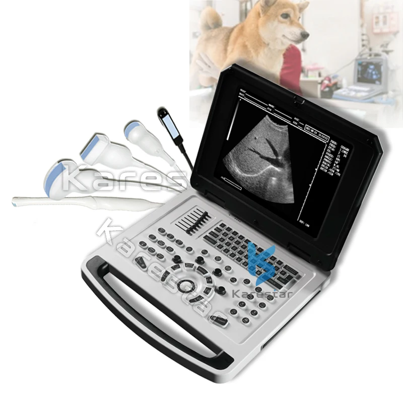 Veterinary Diagnostic Ultrasound Scanner Portable Animal Ultrasound Machine vet ultrasound machine