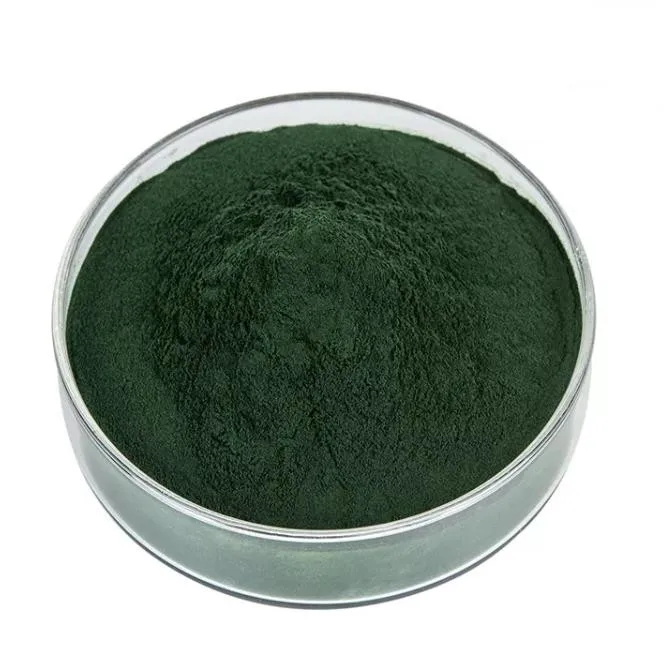 Sodium Copper Chlorophyllin Powder 99% Green Colorant