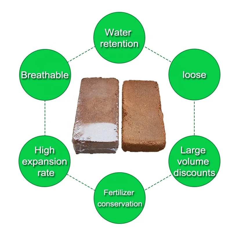 Bulk coconut bricks coir fiber powder block coconut plant planting roots soilless cultivation Wholesale price