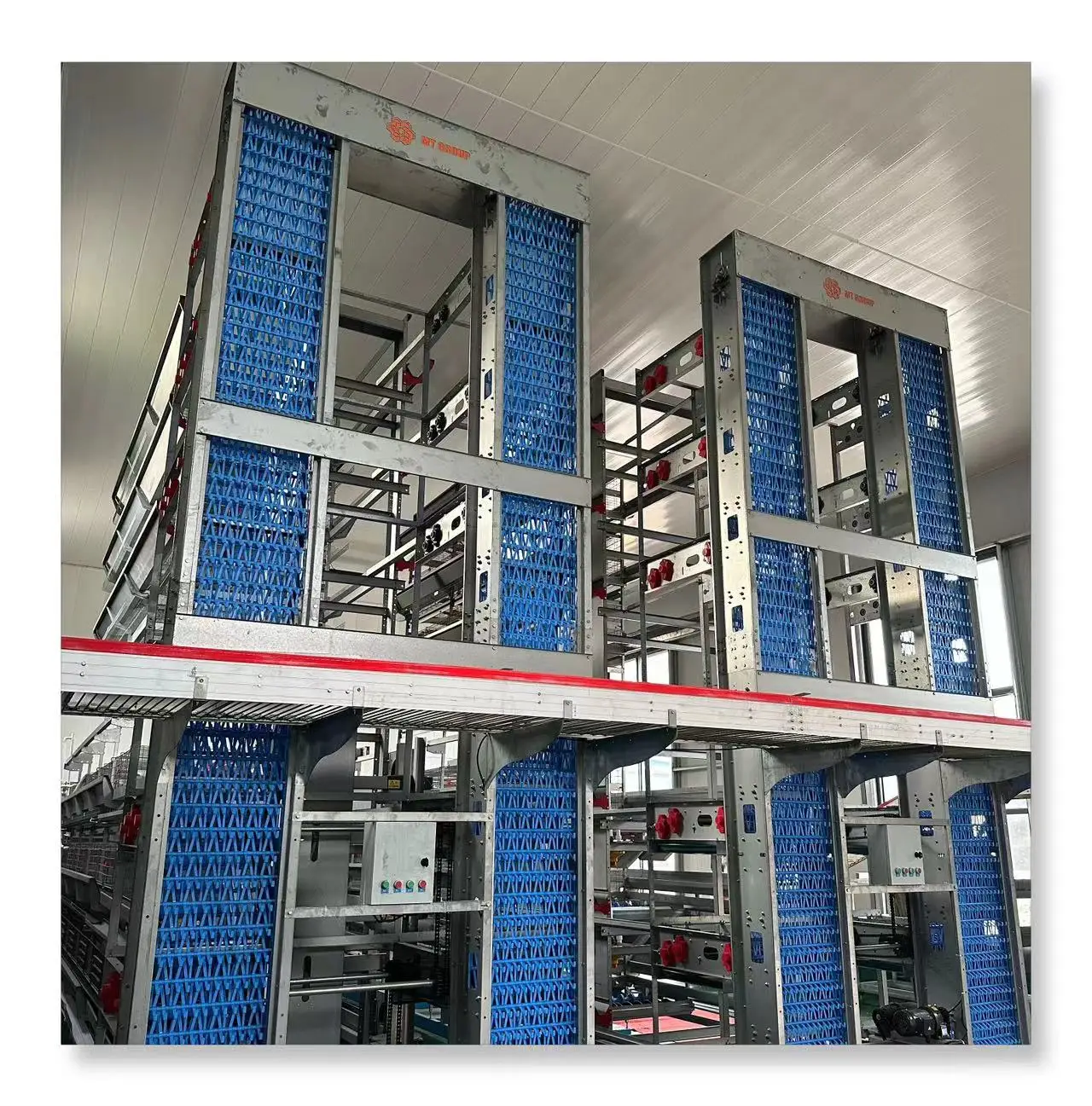 Hot  Galvanized H  Type Poultry Farm Equipment Battery Layer Automatic Chicken Cage With Egg Laying System