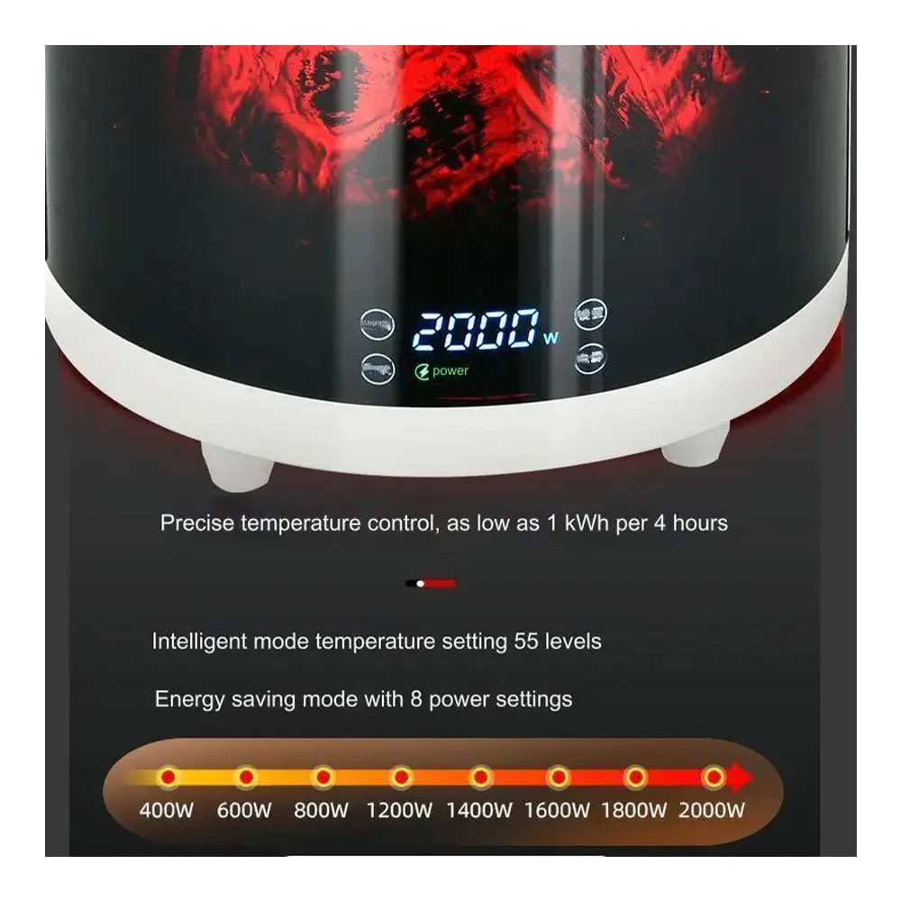 electric heater (11)