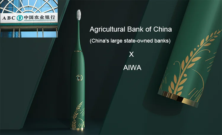AIWO IPX7 Electric Toothbrush Waterproof Rechargeable Travel Toothbrushes Color OEM Electric Toothbrush For Adult