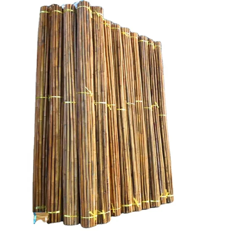 Bitter bamboo from China ,straight bitter bamboo poles