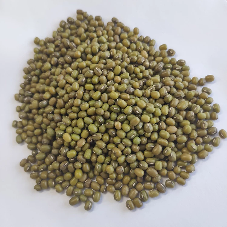 Китайские крупные бобы Mung для продажи