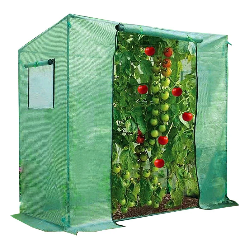mini tomato growing portable steel plastic pe mesh garden small polytunnel walk-in greenhouse with reinforced frame & cover
