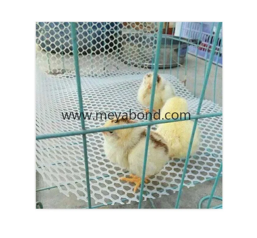 High Strength Plastic Plain net Poultry Farming Fence Poultry Netting