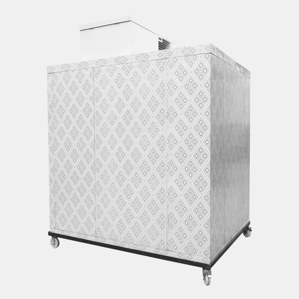 China Cold storage manufacturer Mini Cold Storage sells portable cold storage preservation food