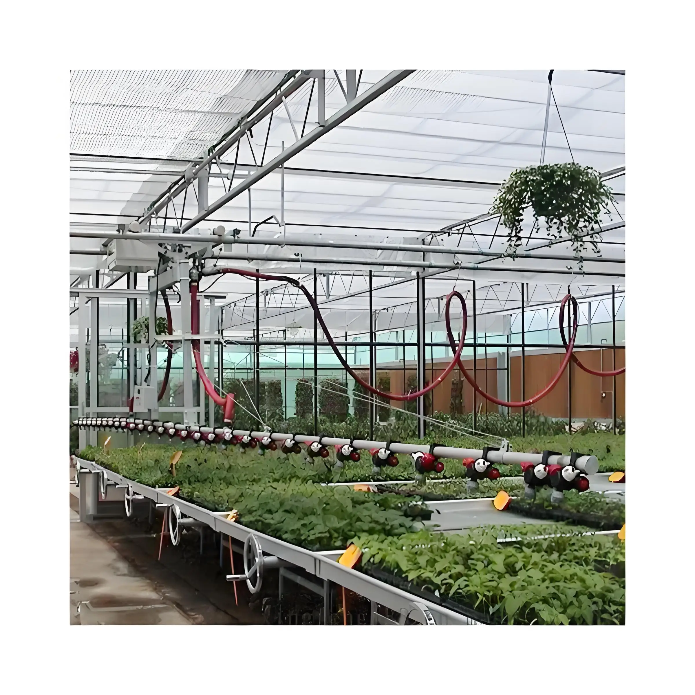 Movable Spray Irrigation System for Agricultural Greenhouses Greenhouse Equipment