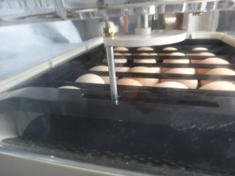 Mini egg Incubator JANOEL 24 Fully automatic 24 chicken egg Hatcher Warmer Small Poultry incubator