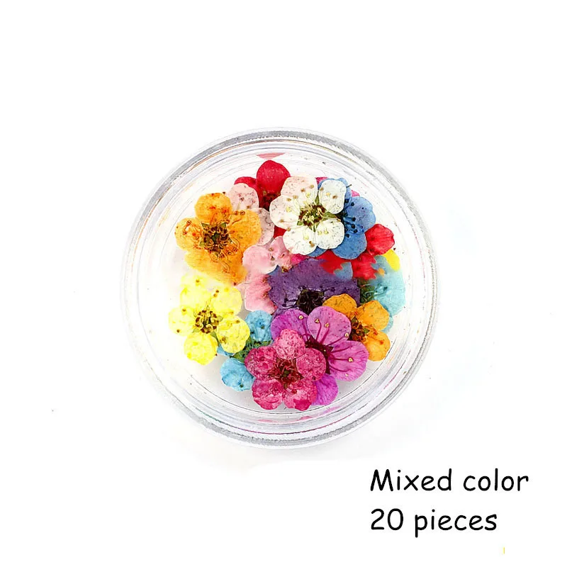 12pcs boxed Dried Flower Pressed Flower Epoxy Resin Handmade Material Plum Blossom Daffodil Phone Case DIY Nail Art Crafts