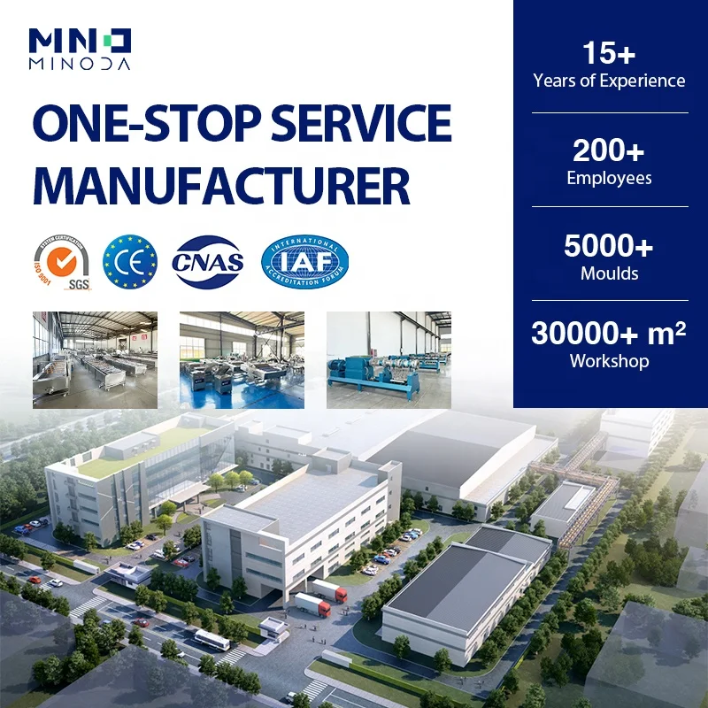 MINODA Custom Double Screw Extruder Snack Food Machine Cone Fried Corn Bugles Chips Production Line