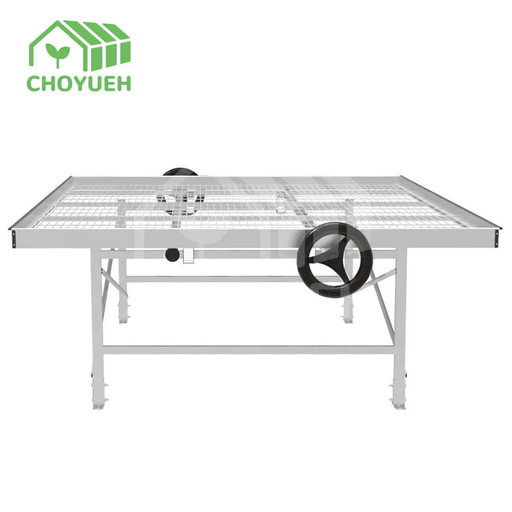 CHOYUEH an Innovative Solution for Enhanced Seedling Production Peanut Seedlings: the Efficient Rolling Seedbed.
