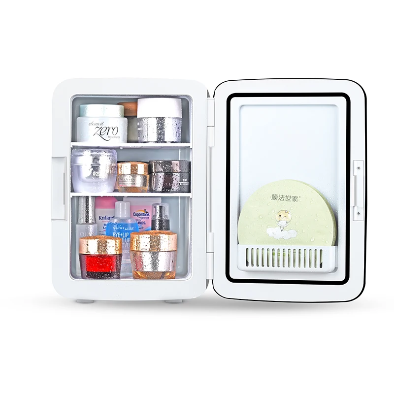  Amazon Hot 10L DC 12V AC 110V 230V мини холодильник на заказ мобильный домашний холодный