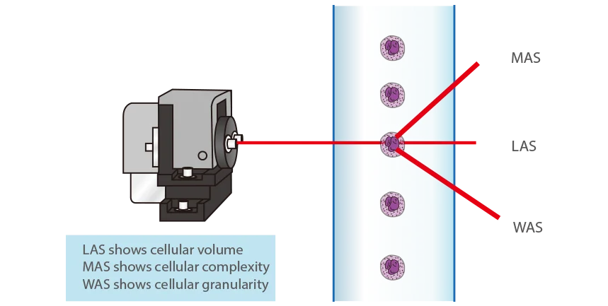Veterinary Equipment Mindray BC5000VET 5 Parts CBC Hematology Analyzer With Flow Cytometry Technology