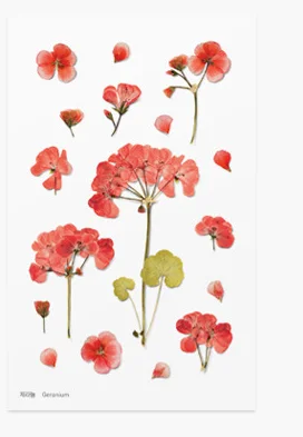 Korean stationery creative simulation flower transparent PVC sticker flower plant diary hand account decorative sticker