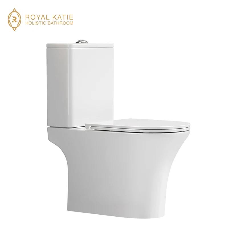 Factory Direct Sales WC Bowls with Washers Modern Rimless Two Piece Hotel Washdown Bathroom Toilet Seat