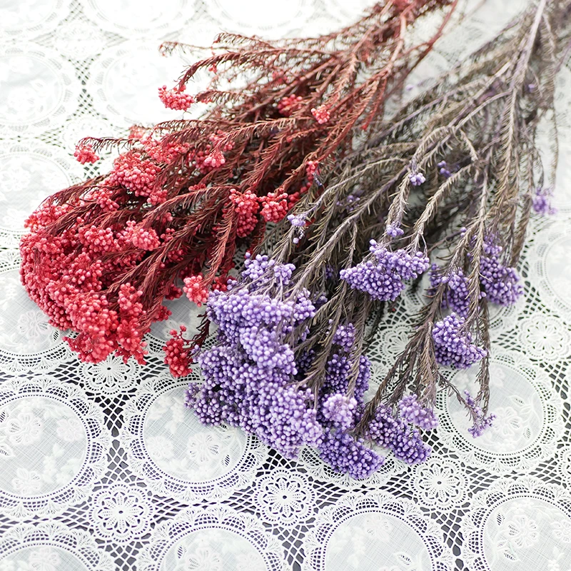 Millet Flower Home Floral Decoration Factory Supply Decorative Dried Flowers Broom Bloom Colorful Preserved Rice Flower