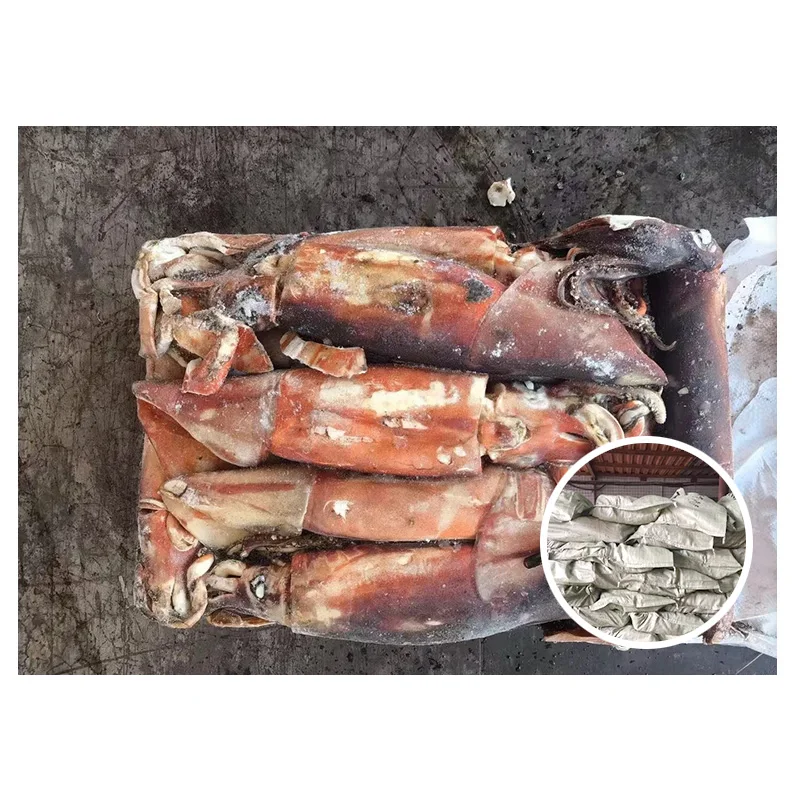 Top Quality Giant Squid Imported Processed Peru Squid