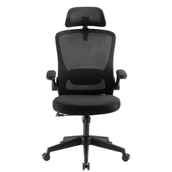 High back lumbar support ergonomic computer mesh chair comfort swivel executive manager office chairs