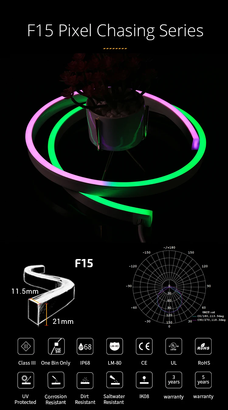 F15 Pixel Chasing.jpg