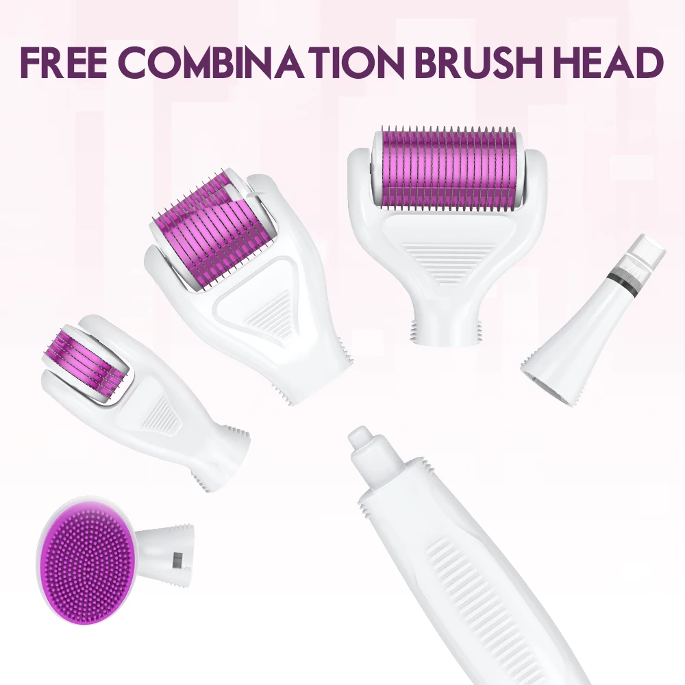 Derma Rolling System Microneedling Kits Drs 6in1 Derma Roller in Different Size for Beauty and Care Home Use